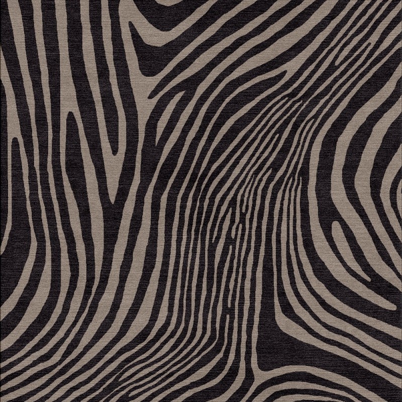 Zebra IV